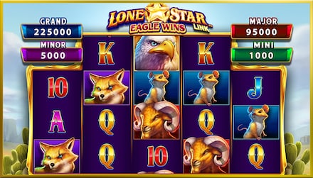 Lone Star Link: Eagle Wins screenshot