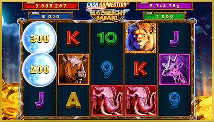 Cash Connection   Moonlight Safari screenshot